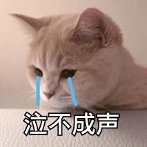 手机进了一点水怎么办