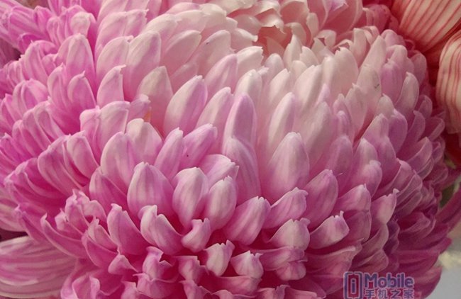 荣耀畅玩30属于什么档次的手机型号