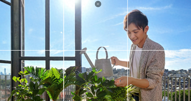 vivox20plus和x20哪个好