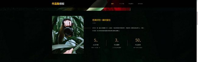 免费网站的建设与管理