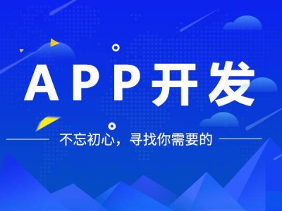 专业做app软件开发公司 平台app开发制作流程