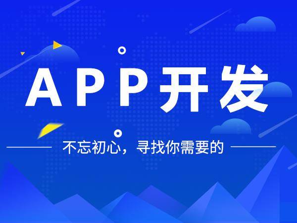专业做app软件开发公司