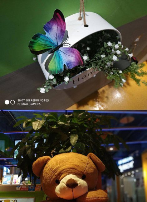 redminote5是什么型号