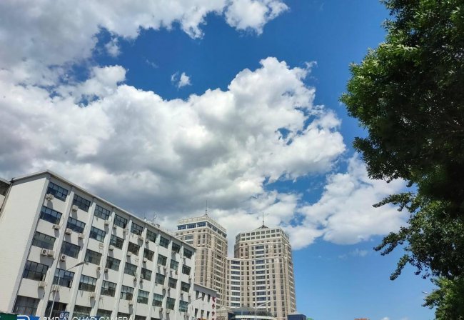 realmex50m是什么牌子手机