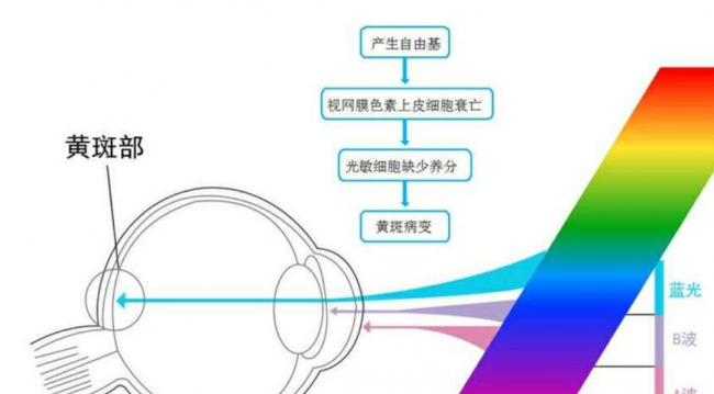 三星显示屏屏幕怎么挑