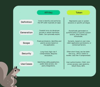 API key和token有什么区别？