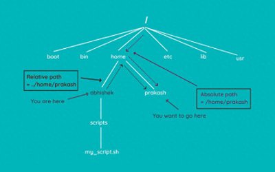 终端基础:Linux终端中的目录切换