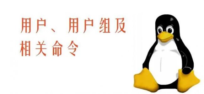 Linux用户和组管理的常用命令
