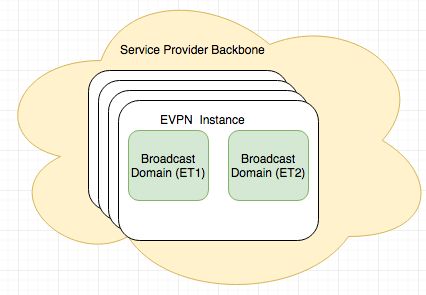 什么是EVPN和BGP
