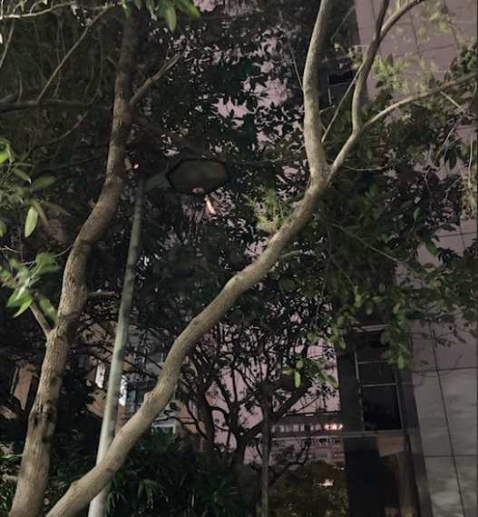苹果se2拍照大概是什么水平