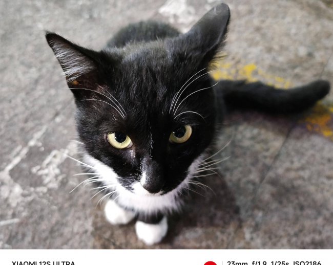 小米12ultra怎么样
