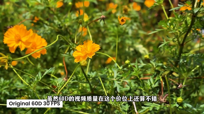 佳能60d还值得买吗