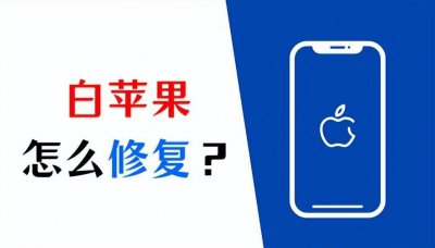 iphone白苹果怎么恢复 分享iphone白苹果修复的方法