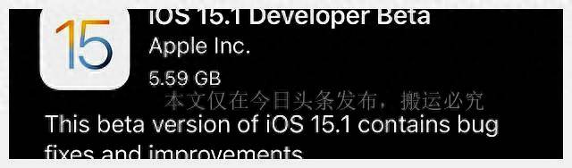 苹果6能升级到什么系统版本