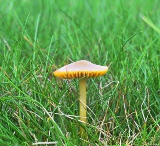 什么是双核处理器 了解双核和四核的区别