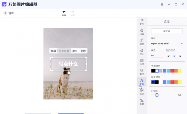 电脑常用办公软件有哪些