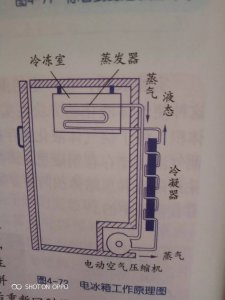 冰箱是利用什么科学原理 详解电冰箱的工作原因