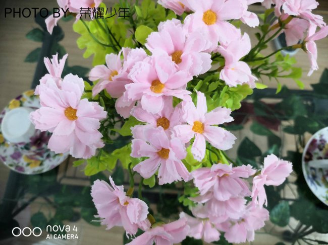华为nove4性能怎么样