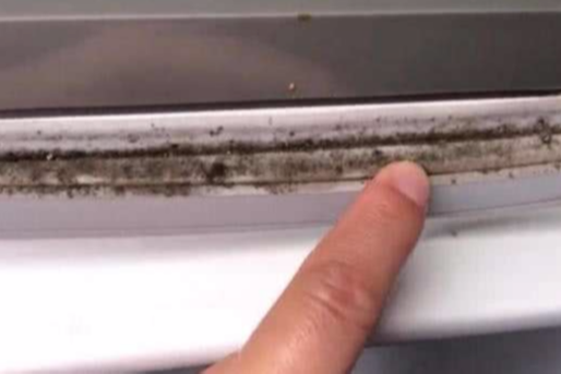 如何清洗冰箱内部