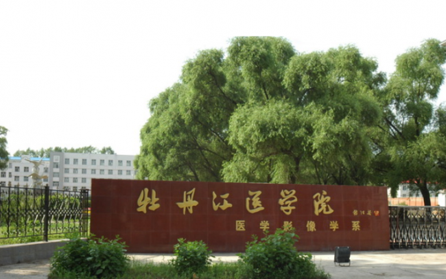 500分左右的医科大学有哪些