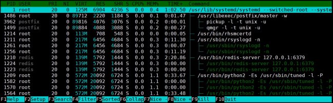 Linux系统之htop命令教程详解