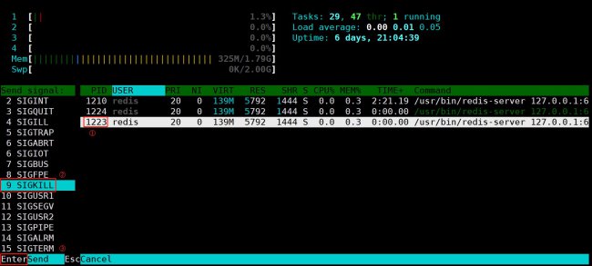 Linux系统之htop命令教程详解