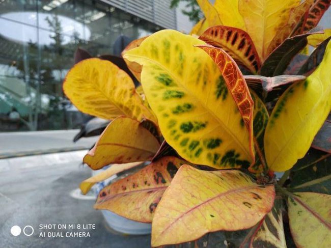 小米8青春版什么时候上市的