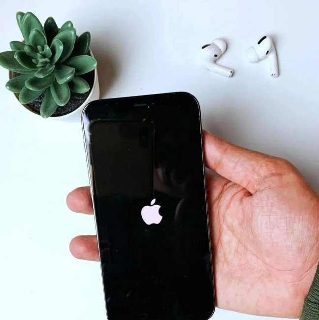 iphone白苹果怎么办