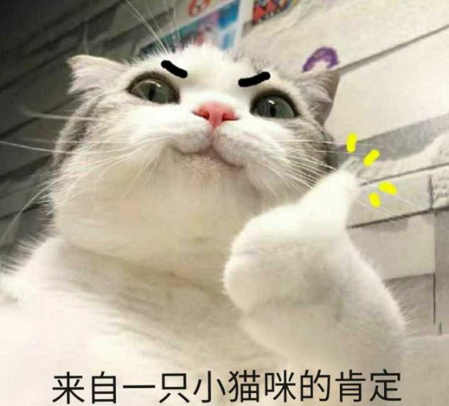 win10自动更新怎么关闭