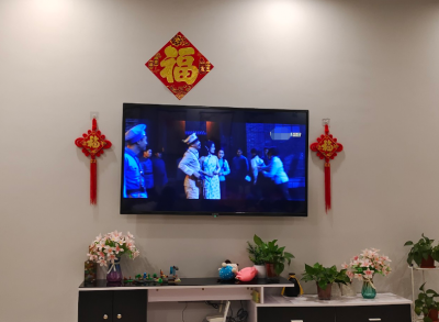 等离子和液晶哪个好一点 电视机品牌排行榜