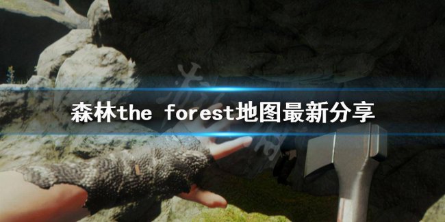 森林地图最新位置详解