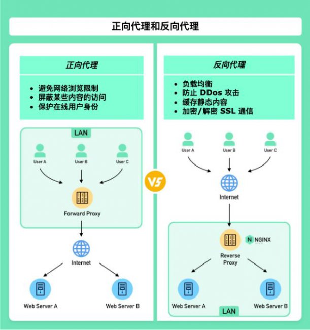 Nginx反向代理为什么叫做“反向”