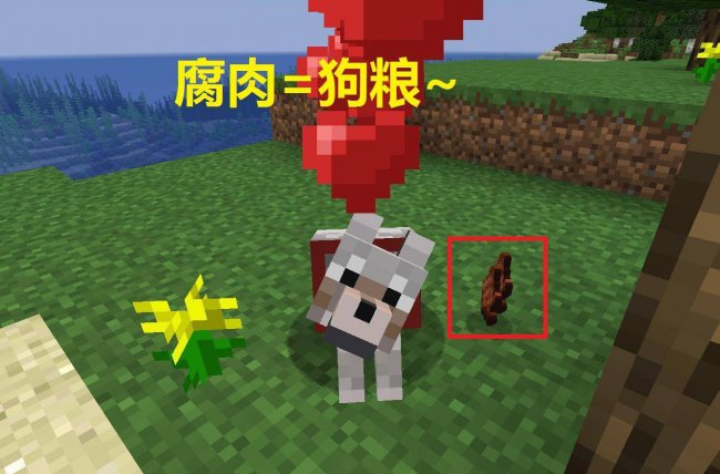 我的世界腐肉变皮革模组