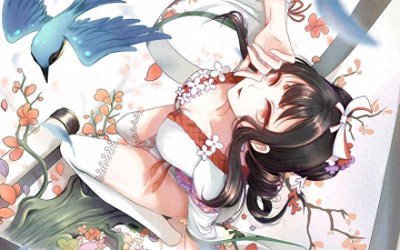 阴阳师新手攻略怎么用 分享阴阳师新手必练阵容