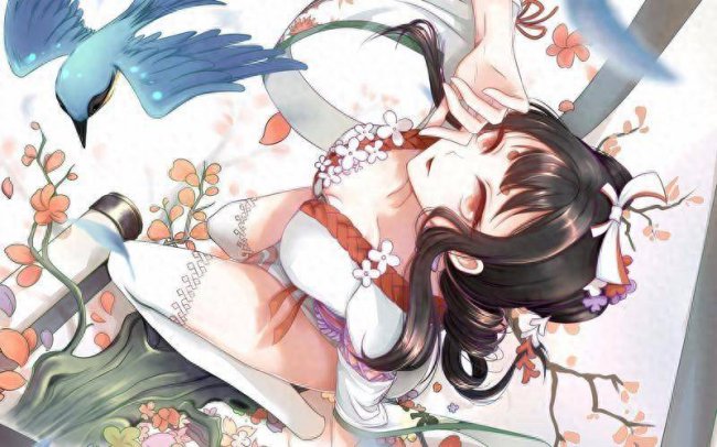 阴阳师新手攻略怎么用
