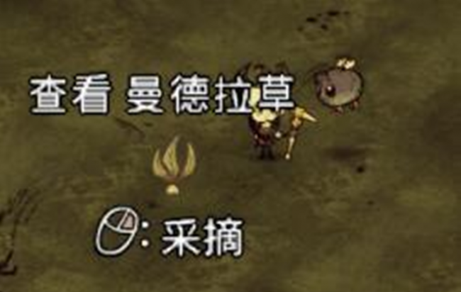 饥荒曼德拉草哪里有