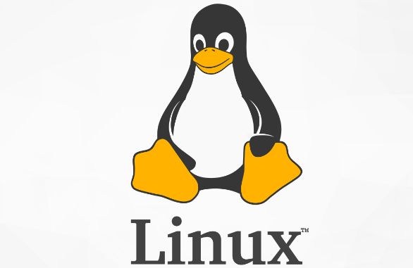 Linux中创建、修改和删除用户账户的详细步骤