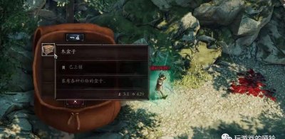 神界原罪2艾迪纳任务流程 介绍神界原罪2暴君套装位置
