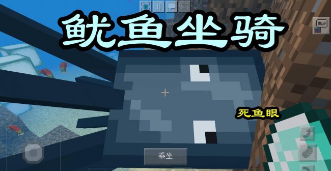 我的世界海豚怎么驯服
