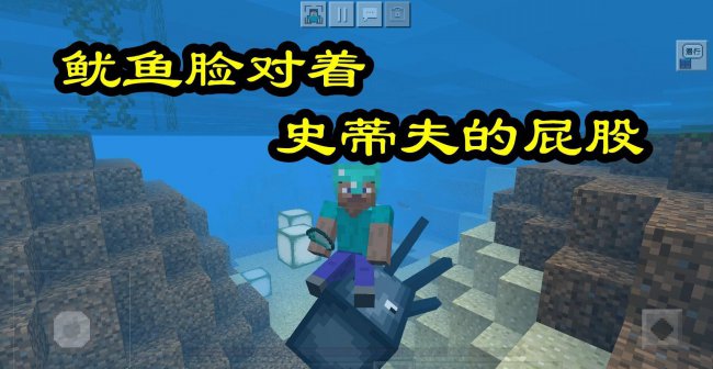 我的世界海豚怎么驯服