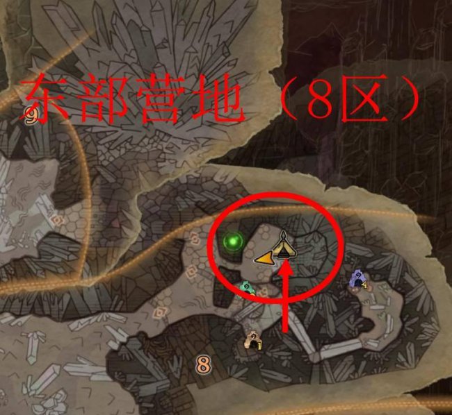 怪物猎人世界巨蜂在哪打