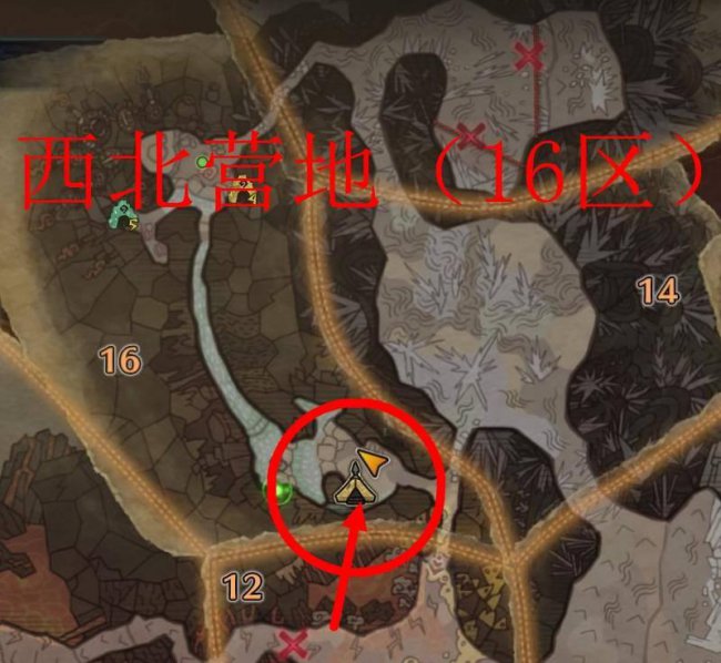 怪物猎人世界巨蜂在哪打