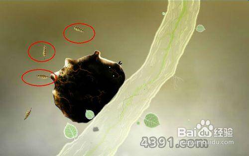 植物精灵攻略图文