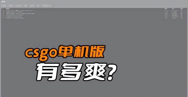 cs单机游戏设置
