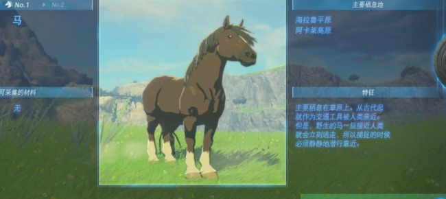 塞尔达马匹排行位置