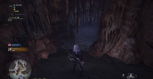 怪物猎人世界翼龙的皮怎么获得