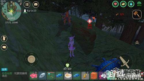 创造与魔法松露位置图