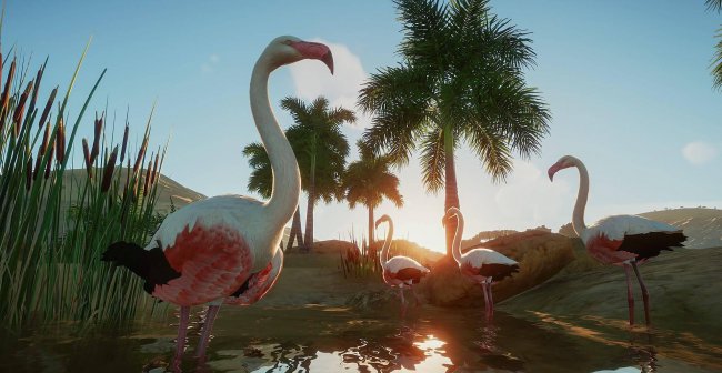 动物园之星mod教程