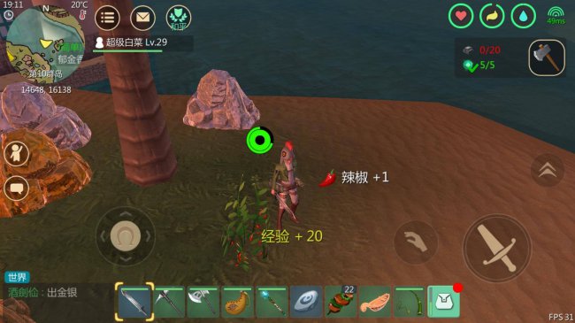 创造与魔法辣椒位置在哪儿