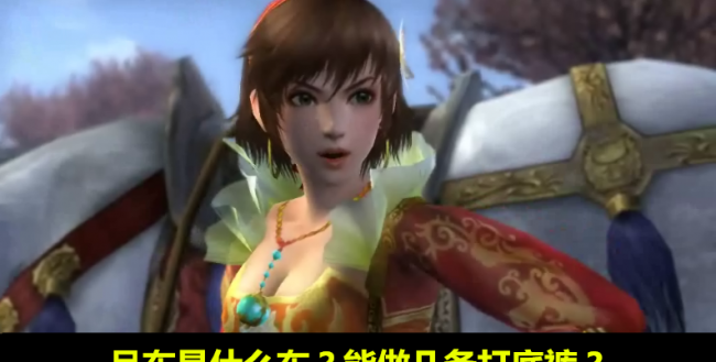 真三国无双5攻略秘籍